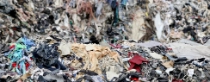 Umweltverschmutzung durch Textilabfälle in südostasiatischen Ländern